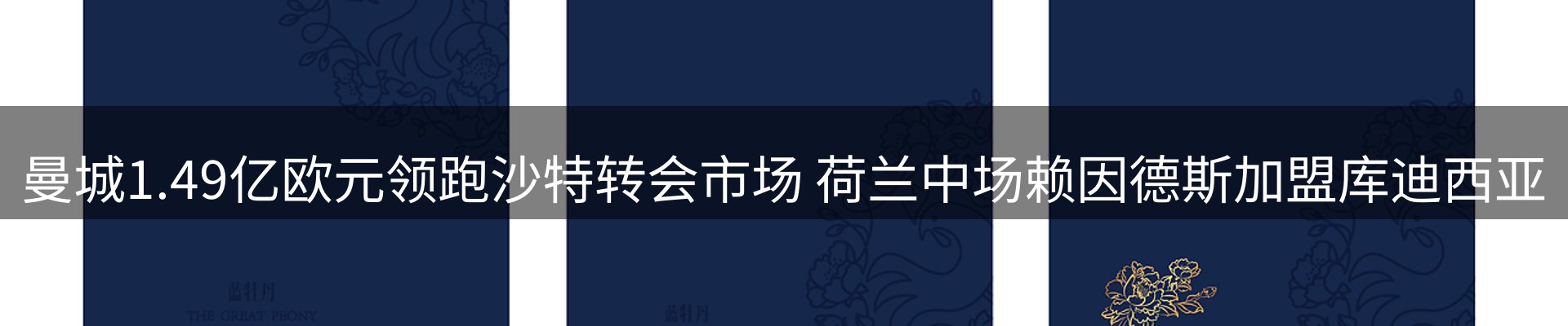 网站资讯