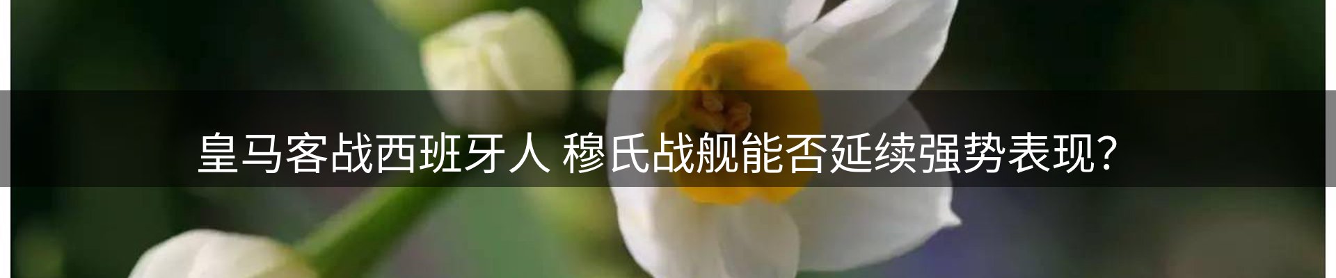 网站资讯