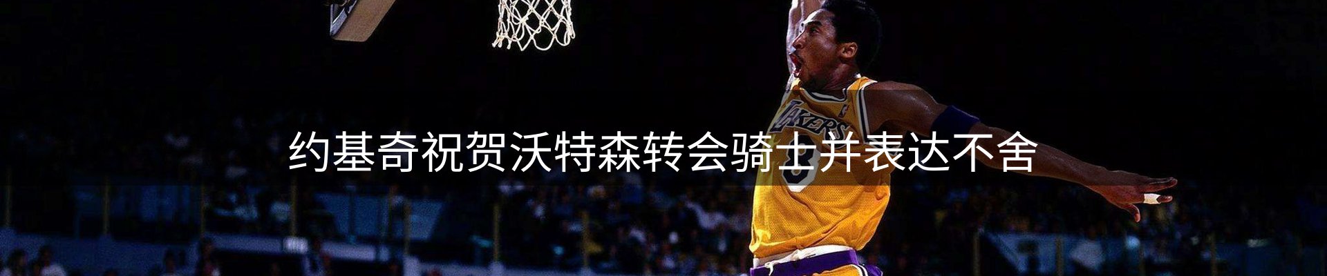 网站资讯